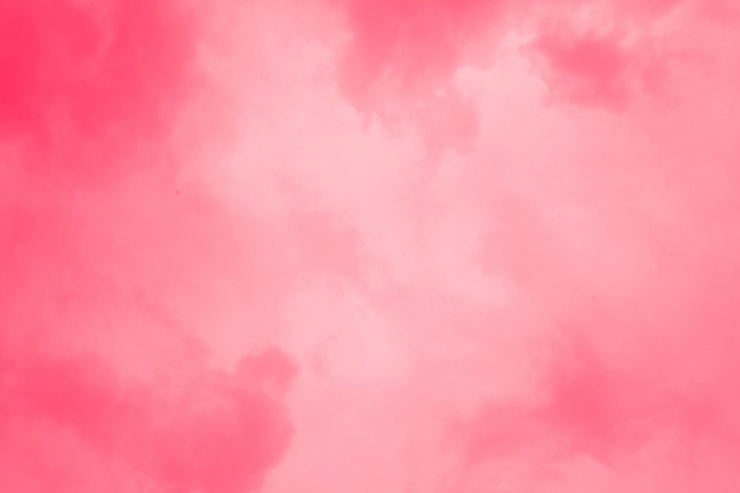 Pink Lady